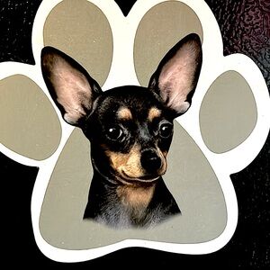 Mini PIN dog , magnet ‘